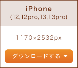 iPhone（12,12pro,13,13pro）1170×2532px