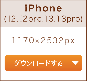 iPhone（12,12pro,13,13pro）1170×2532px