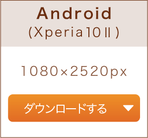 Android（Xperia10II）1080×2520px