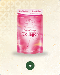 ディープチャージ コラーゲン 2袋セット