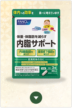 内脂サポート 2袋セット
