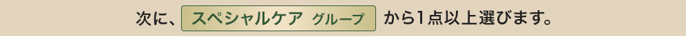 次に、スペシャルケアグループから1点以上選びます。