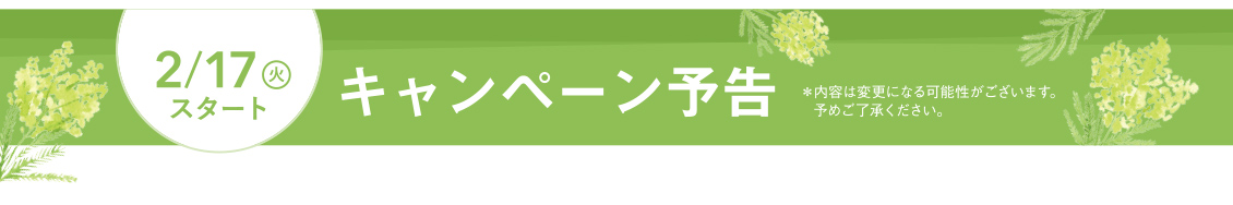 2/17火スタートキャンペーン予告