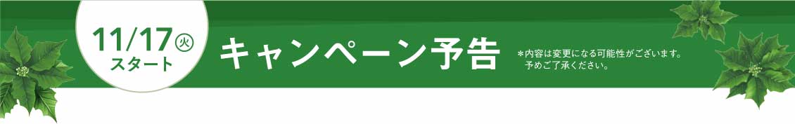 11/17(火)スタート キャンペーン予告
