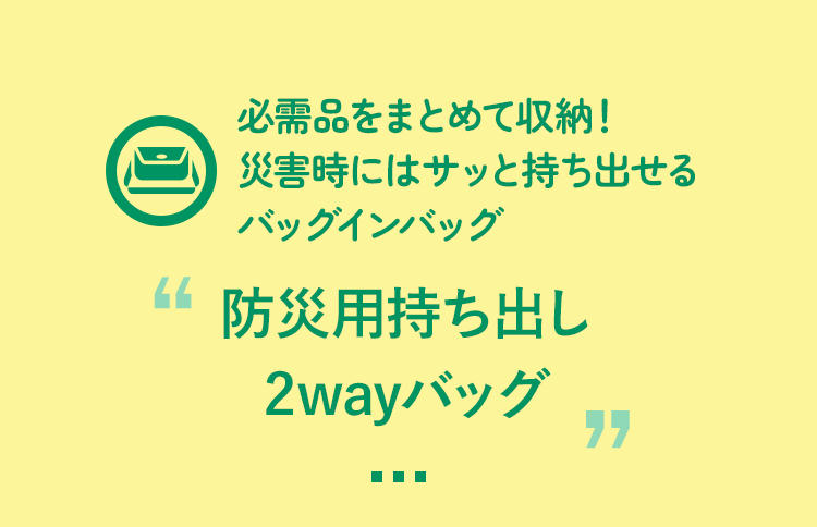 必需品をまとめて収納！災害時にはサッと持ち出せる バッグインバッグ 防災用持ち出し 2wayバッグ