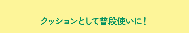 クッションとして普段使いに！