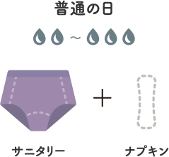 普通の日 サニタリー ナプキン