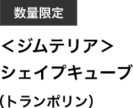 <ジムテリア>シェイプキューブ(トランポリン)