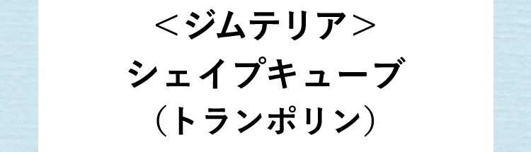 ジムテリアシェイプキューブ(トランポリン)