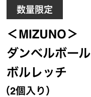 <MIZUNO>ダンベルボール ボルレッチ(2個入り)