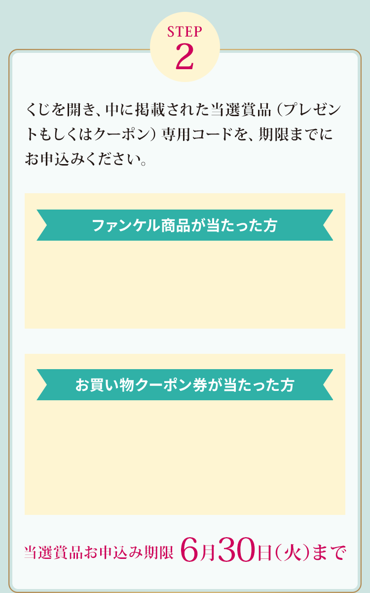 STEP2：くじを開き、中に掲載された当選賞品（プレゼントもしくはクーポン）専用コードを、期限までにお申込みください。