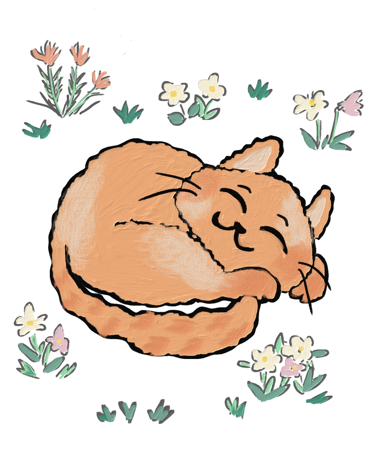 フリーダムにゃん子