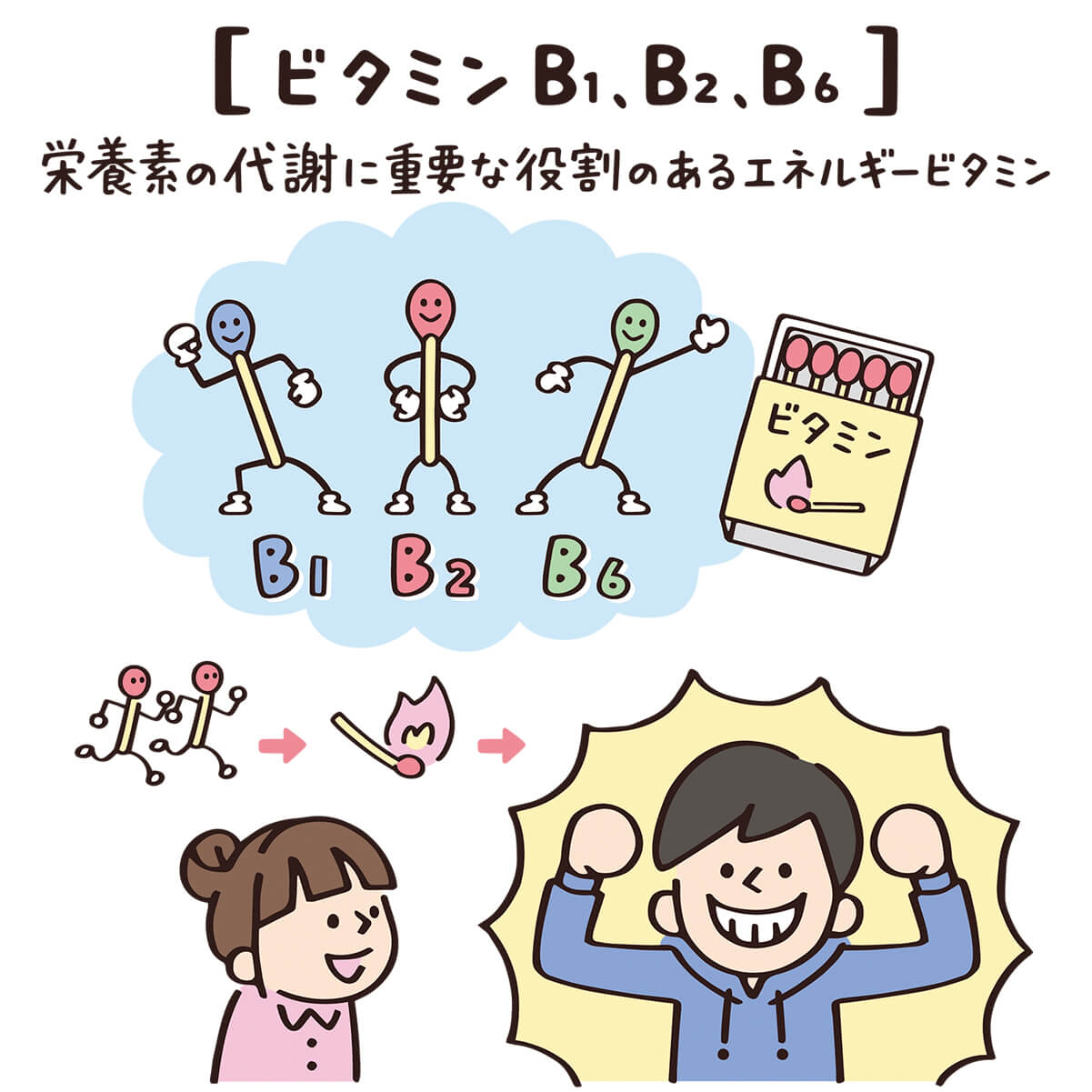 【ビタミンB1、B2、B6】栄養素の代謝に重要な役割のあるエネルギービタミン
