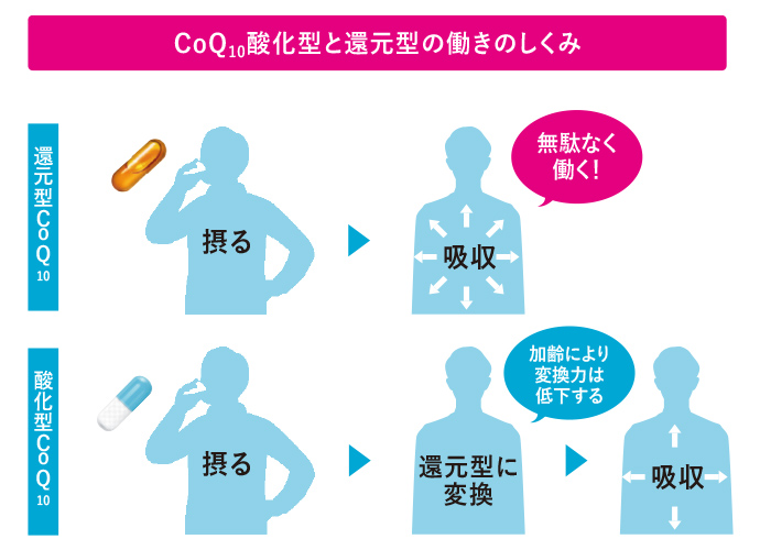 アスタキサンチンを摂取すると、紫外線刺激による赤みが出にくくなったことが報告されています
