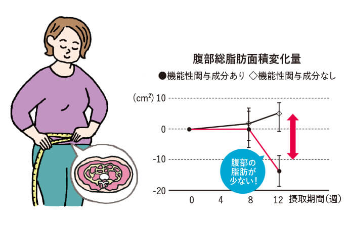 腹部総脂肪面積変化量 腹部の脂肪が少ない!