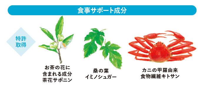 食事サポート成分 特許取得 お茶の花に含まれる成分茶花サポニン 桑の葉イミノシュガー カニの甲羅由来食物繊維キトサン