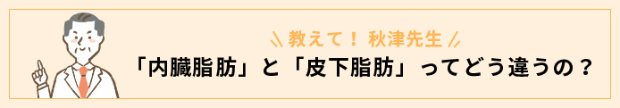 教えて！秋津先生　「内臓脂肪」と「皮下脂肪」ってどうちがうの