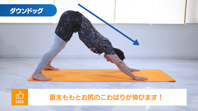 ダウンドッグ