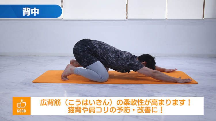 背中のストレッチ