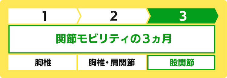関節モビリティの3か月