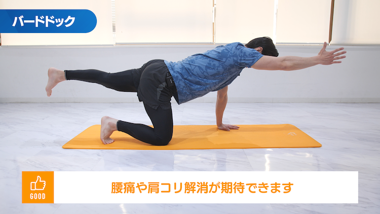 バードドック