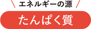 エネルギーの源たんぱく質