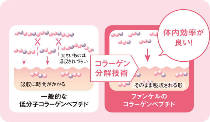 体内効率が良い！