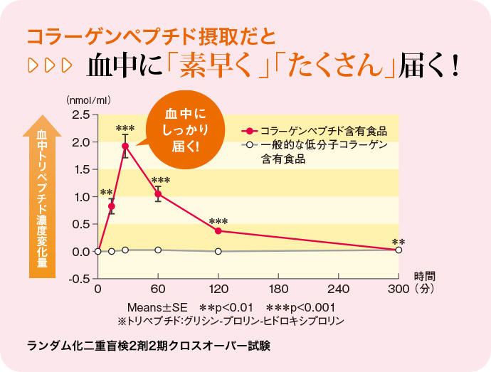 コラーゲンペプチド摂取だと血中に「素早く」「たくさん」届く！