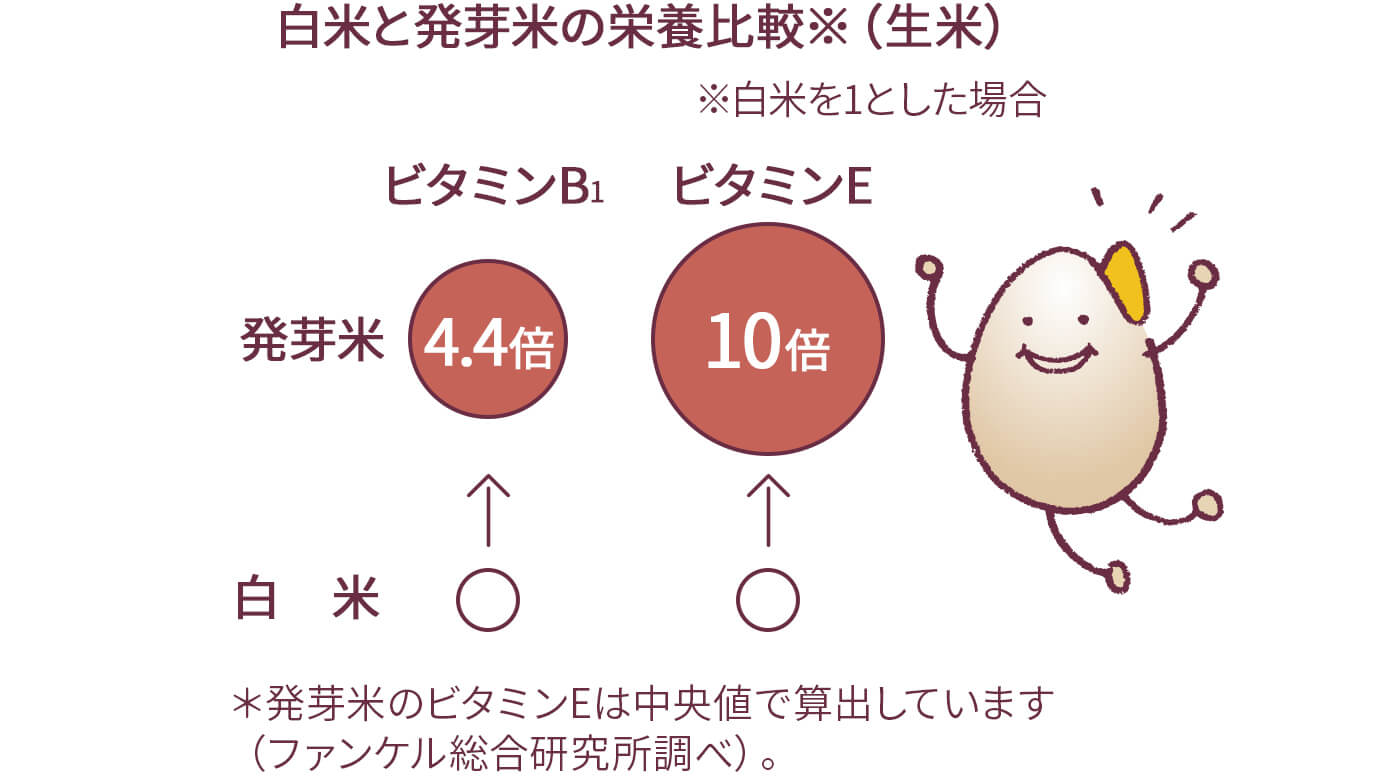 白米と発芽米の栄養比較※(生米)