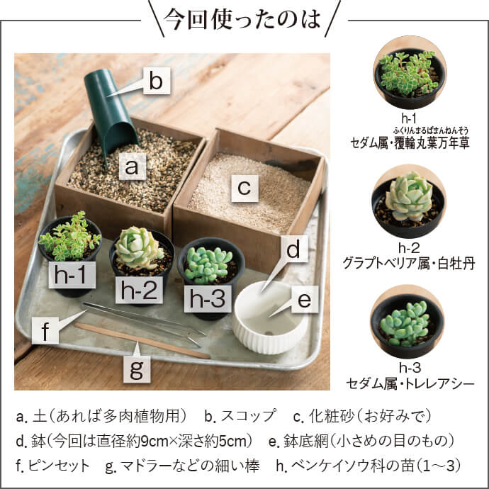 今回使ったのは