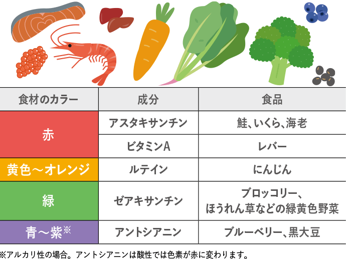 食材のカラー 成分 食品/赤 アスタキサンチン 鮭、いくら、海老/ビタミンA レバー/黄色~オレンジ ルテイン にんじん/緑 ゼアキサンチン ブロッコリー、ほうれん草などの緑黄色野菜/青~紫※ アントシアニン ブルーベリー、黒大豆 ※アルカリ性の場合。アントシアニンは酸性で色素が赤に変わります。