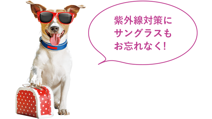 紫外線対策にサングラスもお忘れなく!