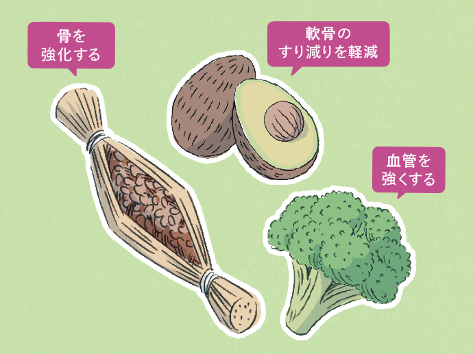 骨を強化する 軟骨のすり減りを軽減 血管を強くする