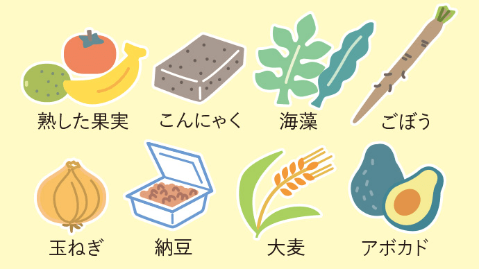 熟した果実 こんにゃく 海藻 ごぼう 玉ねぎ 納豆 大麦 アボガド