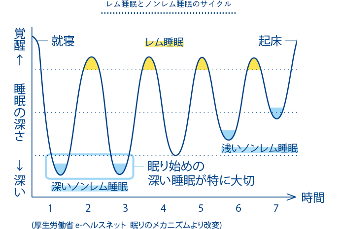 レム睡眠とノンレム睡眠のサイクル