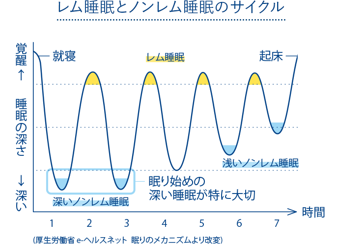 レム睡眠とノンレム睡眠のサイクル