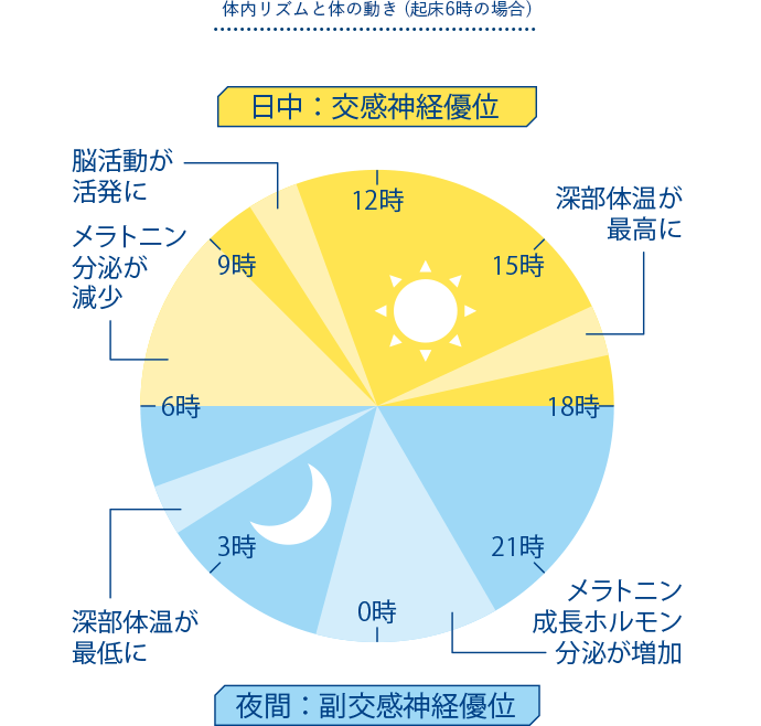体内リズムと体の動き (起床6時の場合)