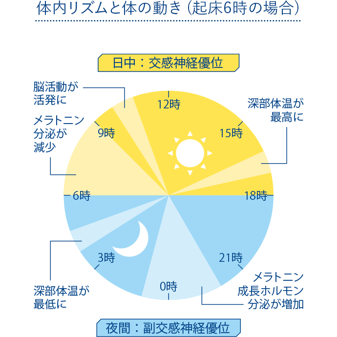 体内リズムと体の動き (起床6時の場合)
