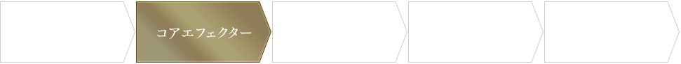 洗顔 → コアエフェクター → 化粧液 → 美容液 → 乳液