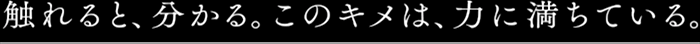 触れると、分かる。このキメは、力に満ちている。