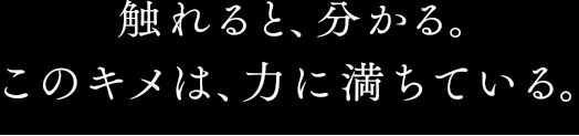 触れると、分かる。このキメは、力に満ちている。