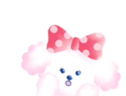 ワンケル子