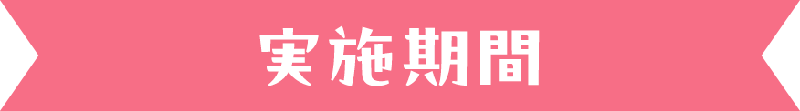 実施期間