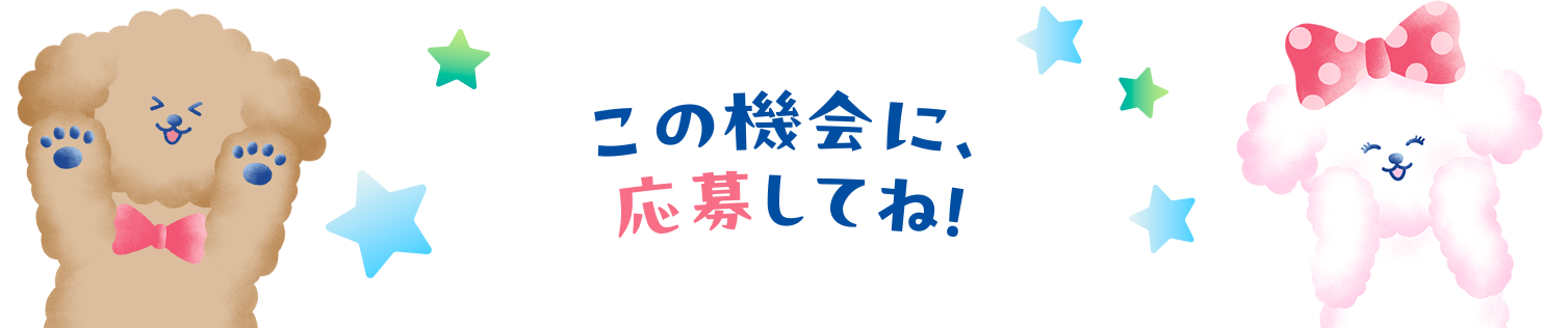 この機会に、応募してね!