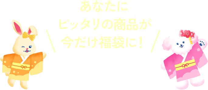 あなたにピッタリの商品が今だけ福袋に!