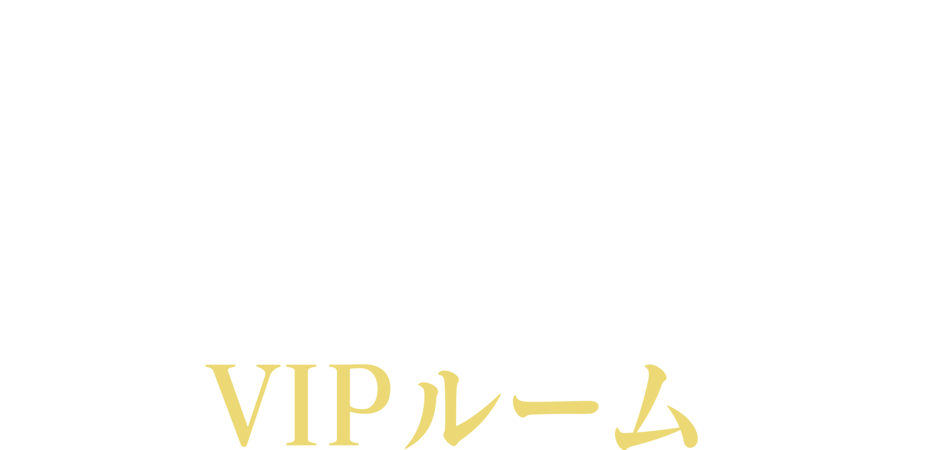 定期便VIPルーム