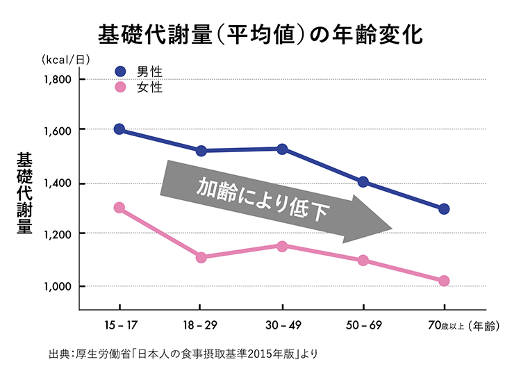 【グラフ】基礎代謝量（平均値）の年齢変化