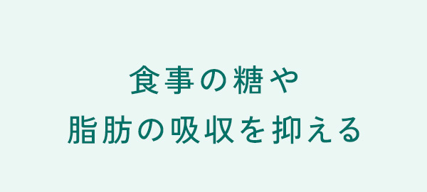 食事の糖や脂肪の吸収を抑える