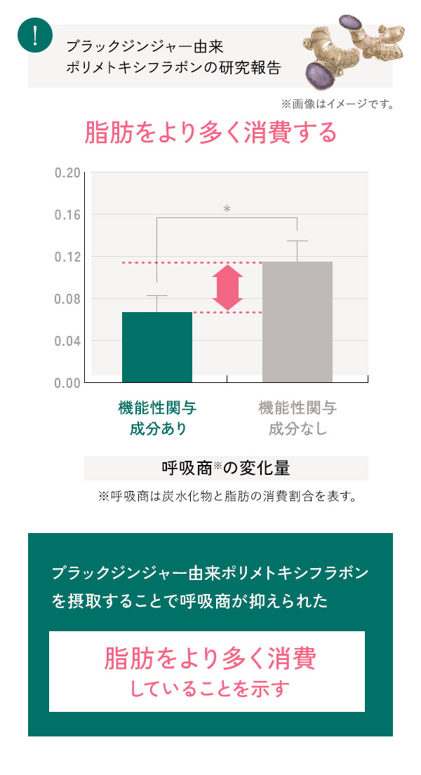 脂肪をより多く消費する
