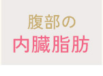 腹部の内臓脂肪